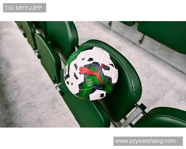 动物足球球星大联赛：赛场上的萌趣与速度争锋对决