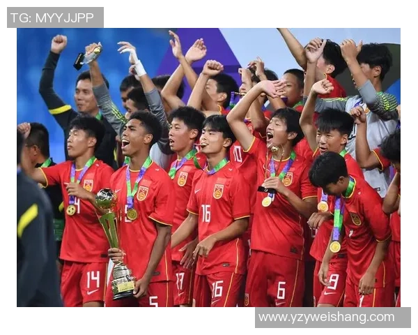 各国球星眼中的中国足球发展与挑战分析