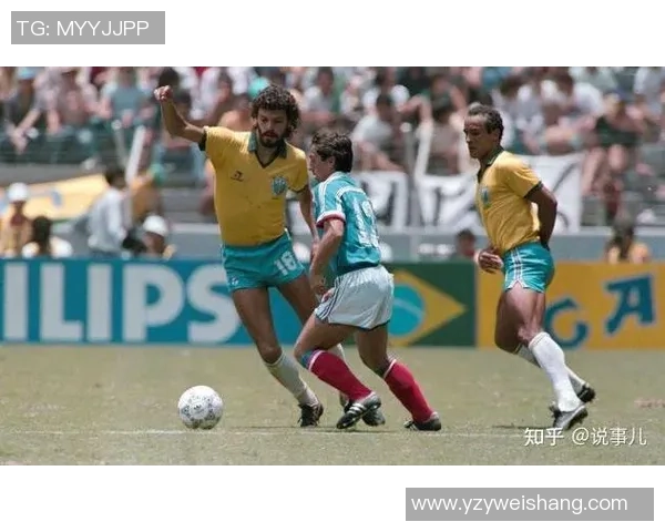 足球巨星入队体检：从健康检查到体能评估，全方位解析球员入队前的必经之路